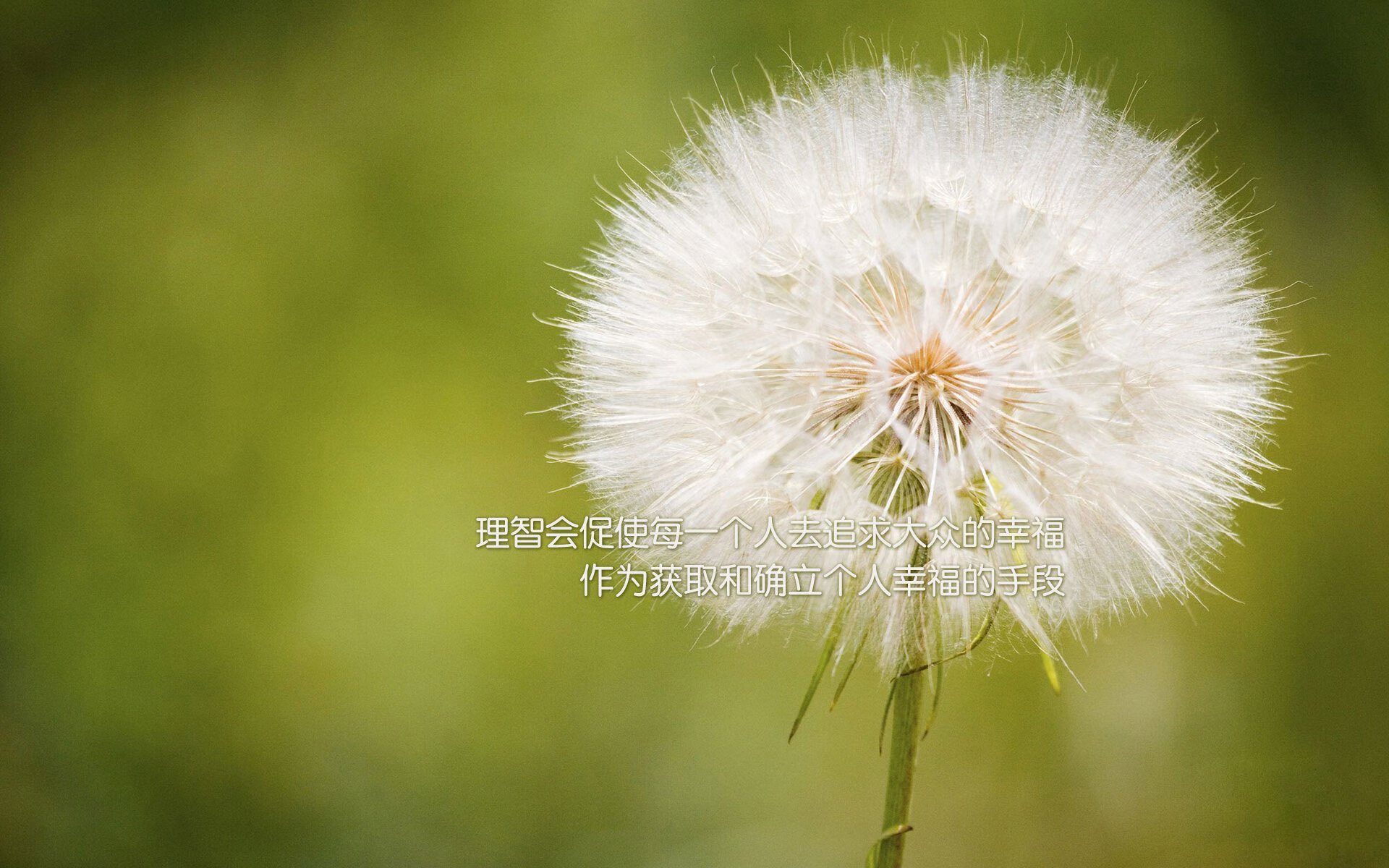 _沙漠越野汽车:掌控荒原的速度与力量_,沙漠越野体验