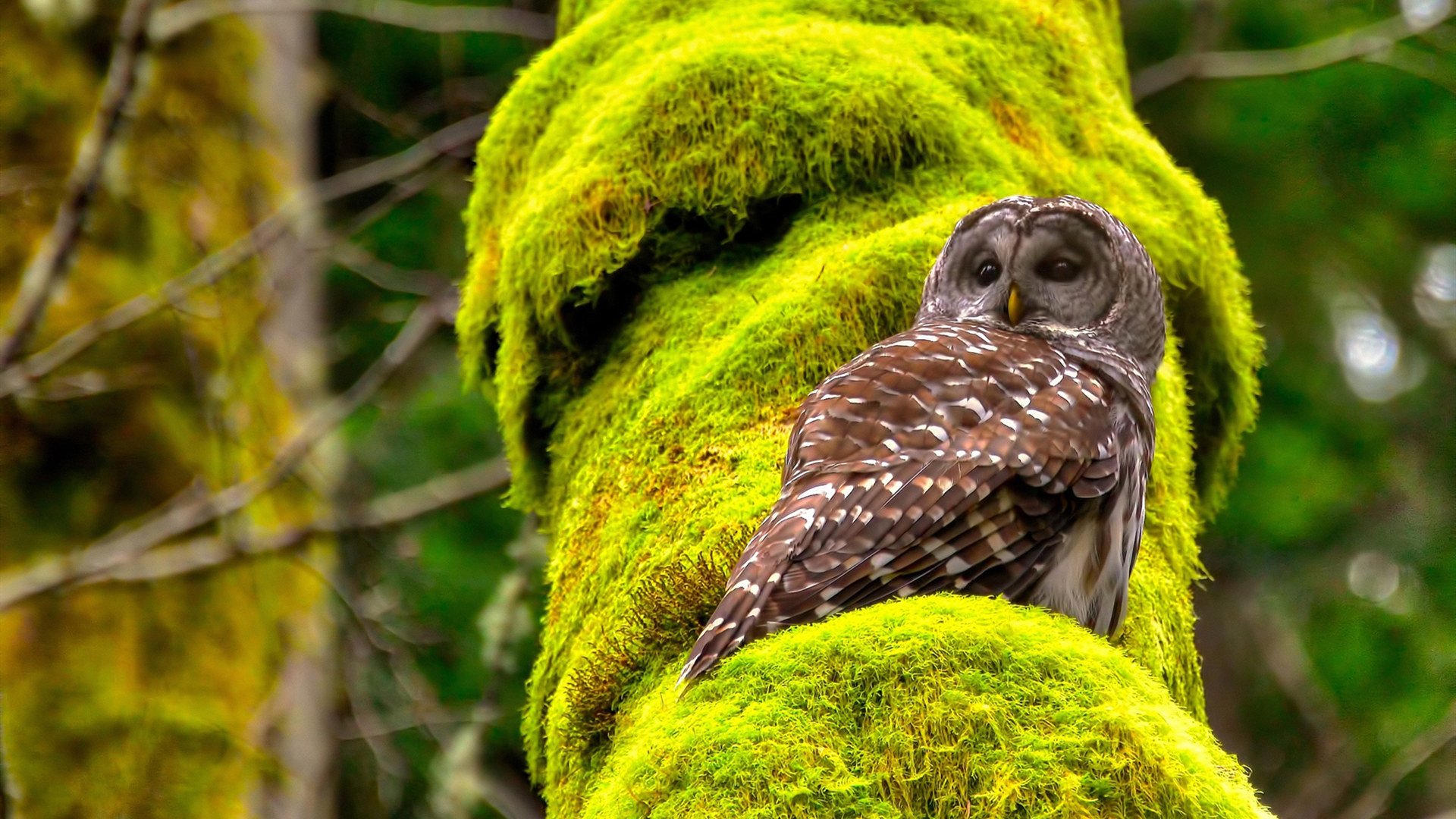 _沸点之夜：体育明星线上互动秀_，沸点娱乐