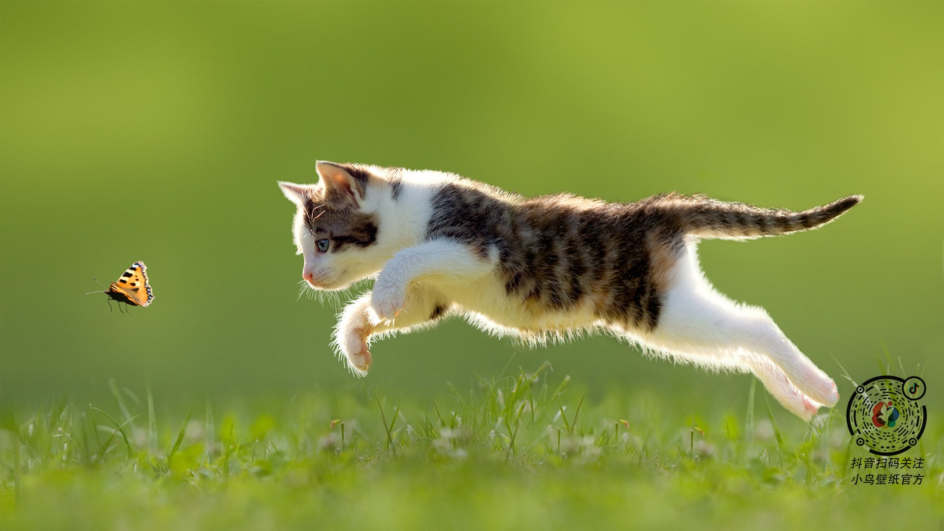 “中国球员海外比赛表现受到关注”,中国海外球员吧微博