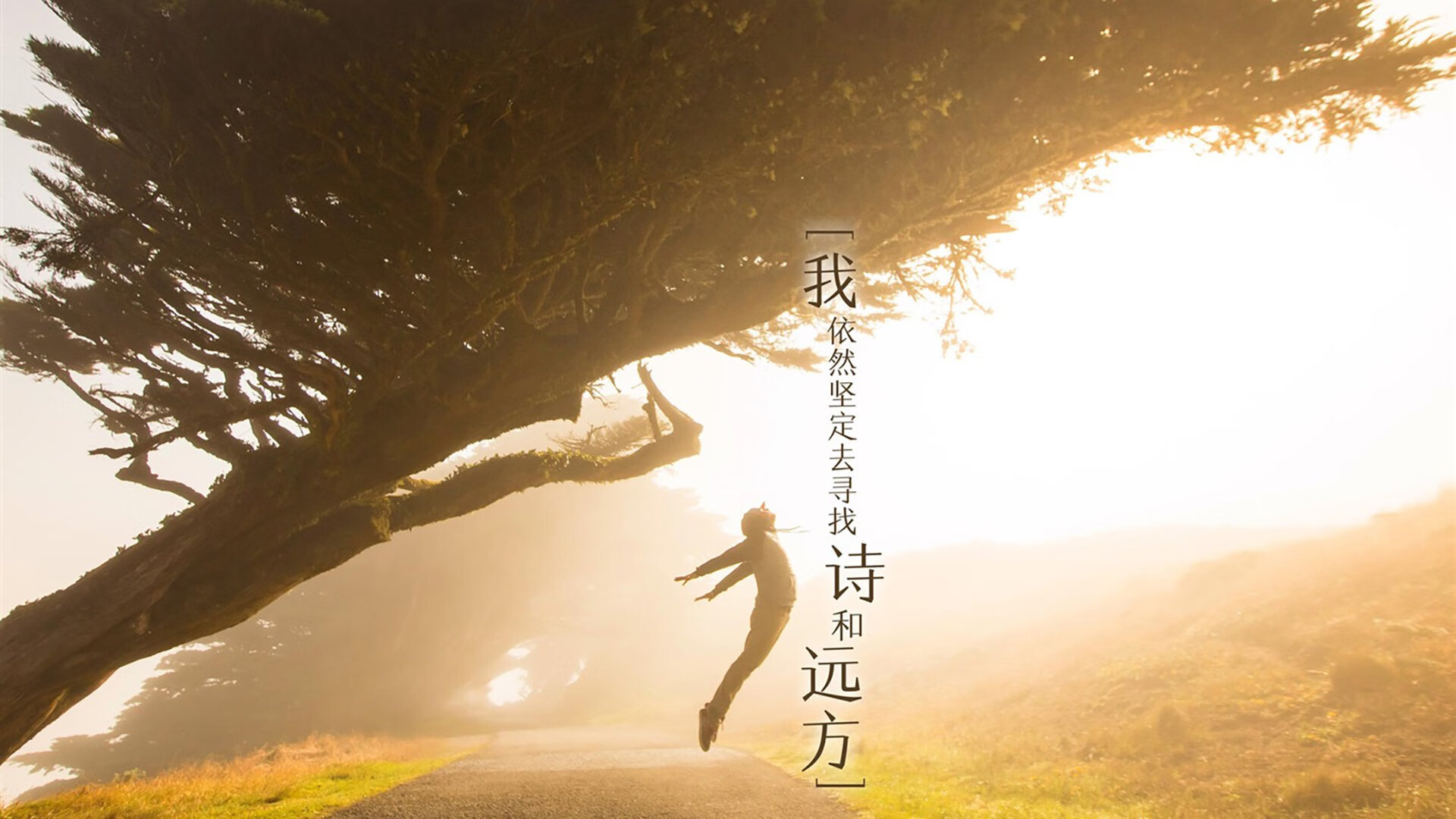 《任天堂明星大乱斗》终极版赛事与《拳皇15》全球锦标赛的格斗电竞新势力