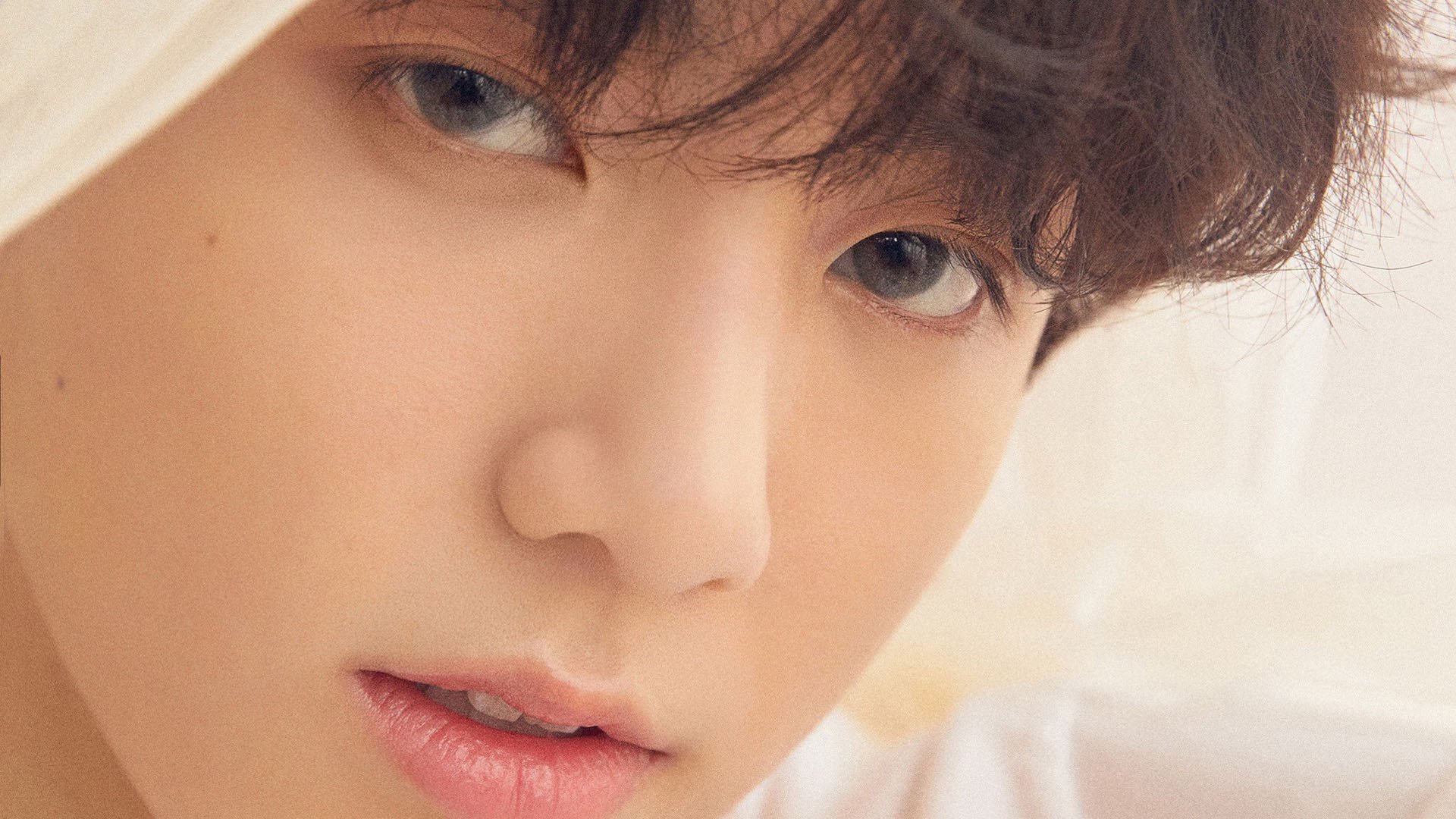 乐鱼体育登录-《传奇再续：老牌战队迎来新挑战》，传奇再现最新章节