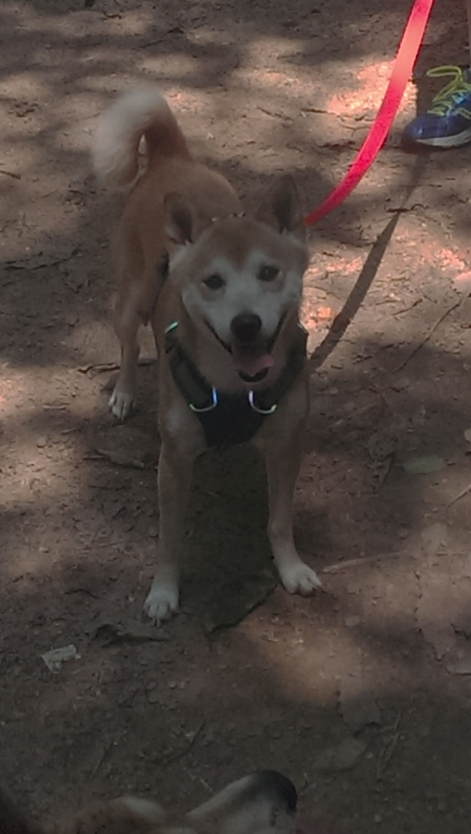 《带动地方经济:电竞赛事成为城市新名片》,带动一个地方的经济