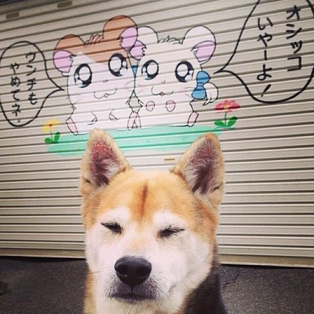 《年度最佳操作盘点:精彩瞬间汇总》,精彩操作集锦