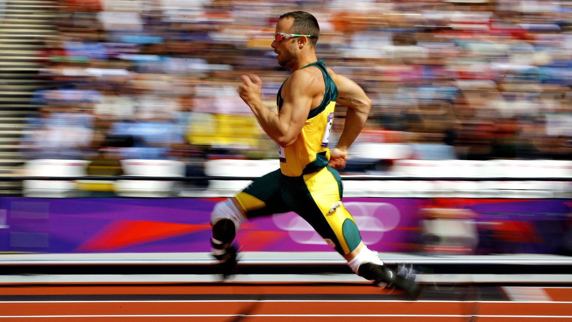 【粉丝专区】投票、评论和打榜活动不断，粉丝活跃榜投票