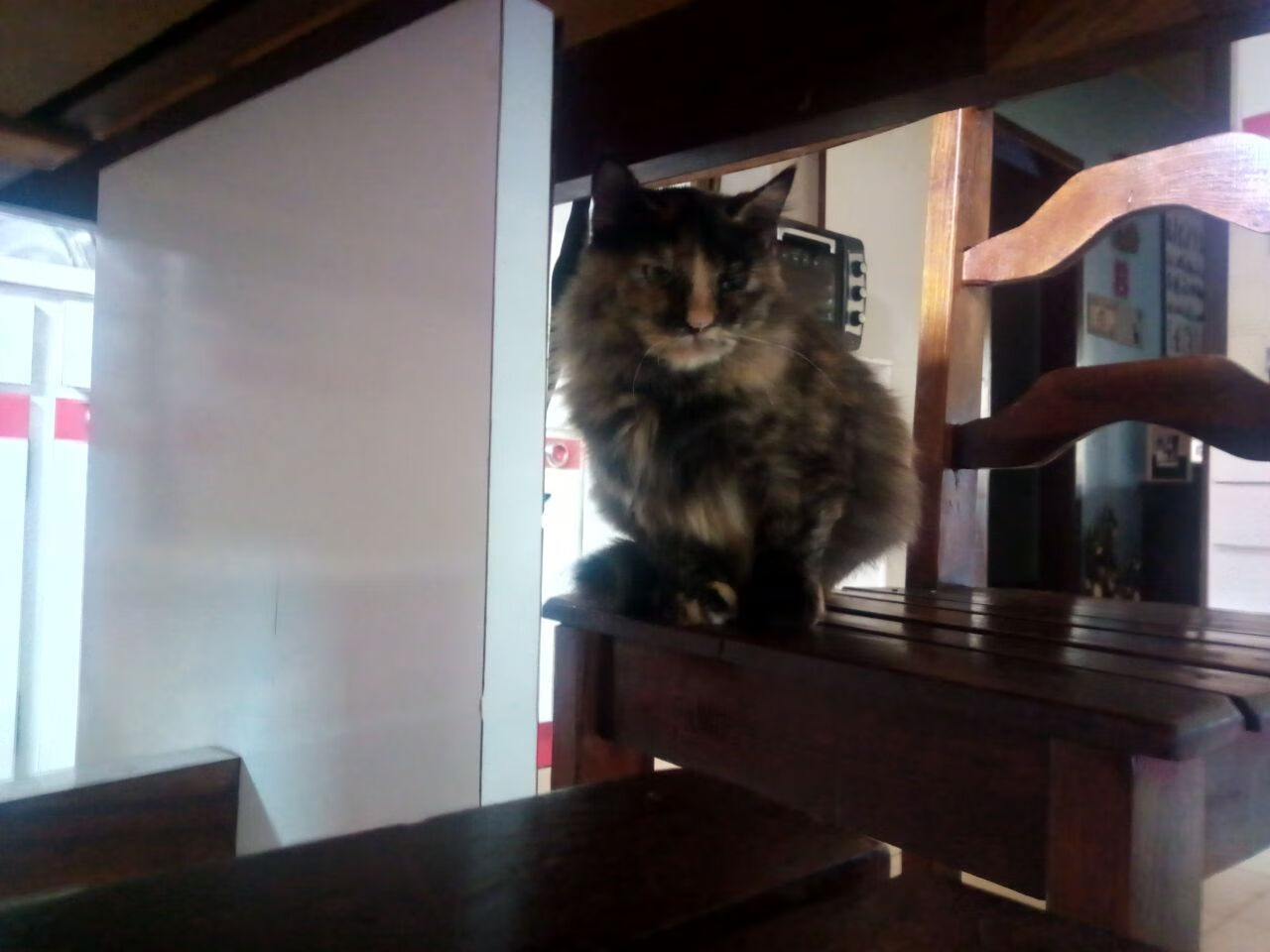 乌拉圭男足在巴黎奥运会上展示了高水平的战术执行力，乌拉圭著名足球运动员