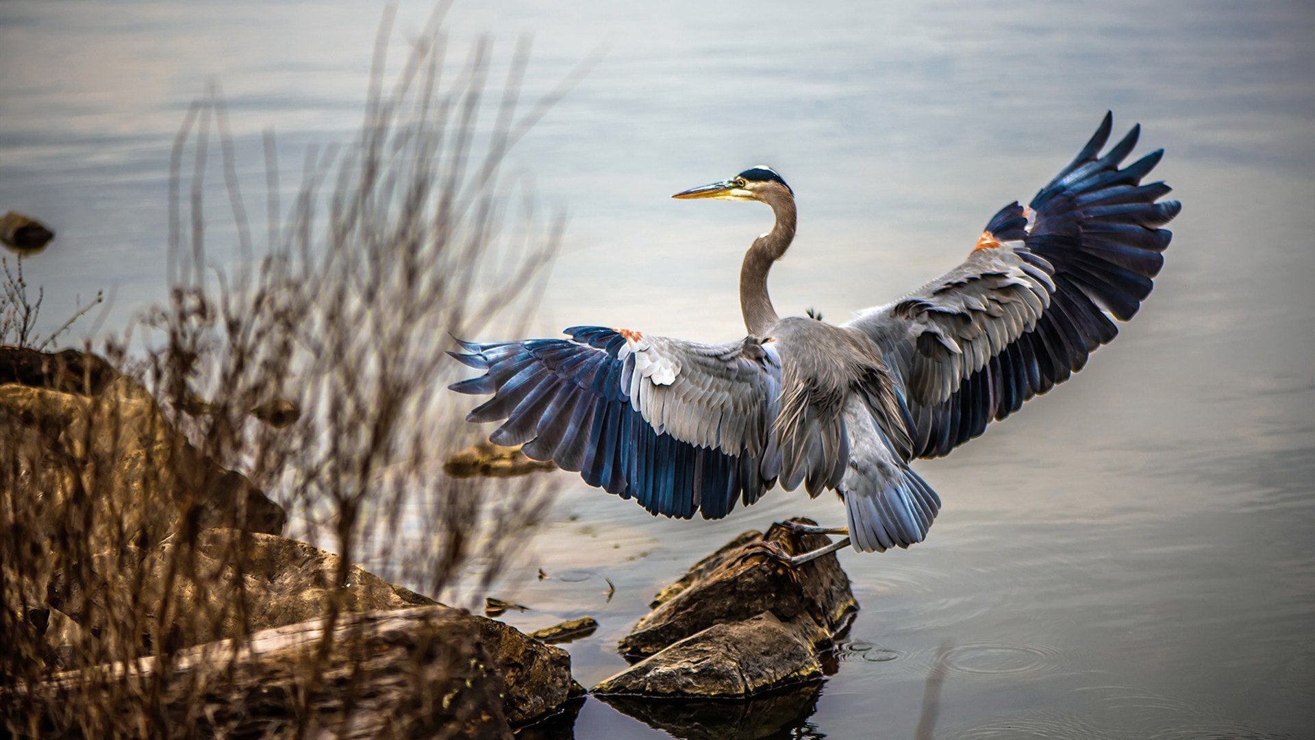 乐鱼官方登录入口-乌拉圭男足在巴黎奥运会上表现出色，赢得铜牌，乌拉圭男足主帅