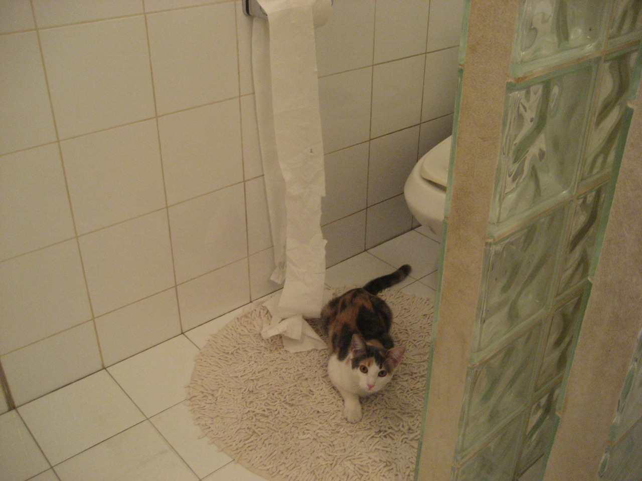 下载乐鱼体育APP-史上最脏的场面：球场恶战留给谁的记忆？，球场脏话