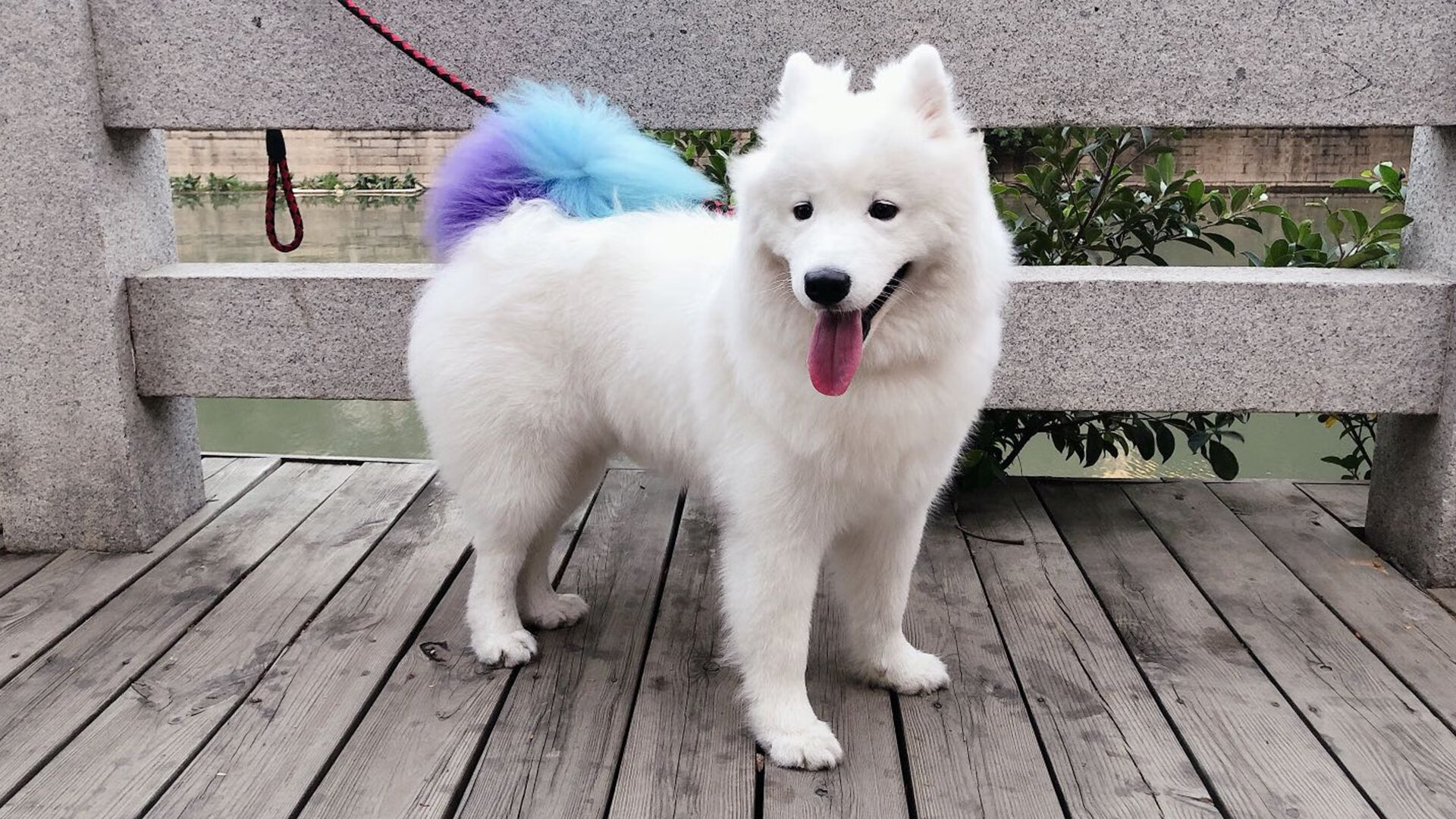 女子拳击国家队更换主教练,奥运备战全面升级,女子拳击运动员冠军