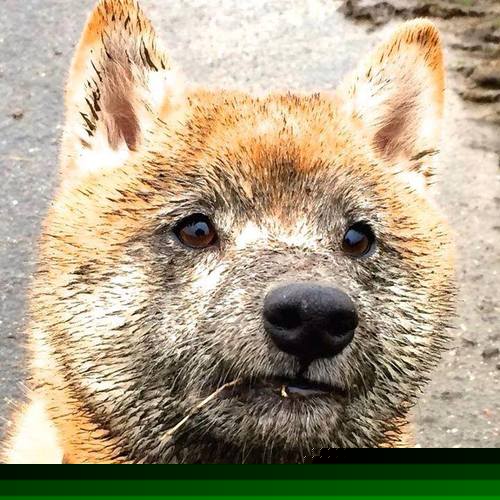 快乐骑行日,家庭运动乐趣无限延续,骑友们骑行快乐