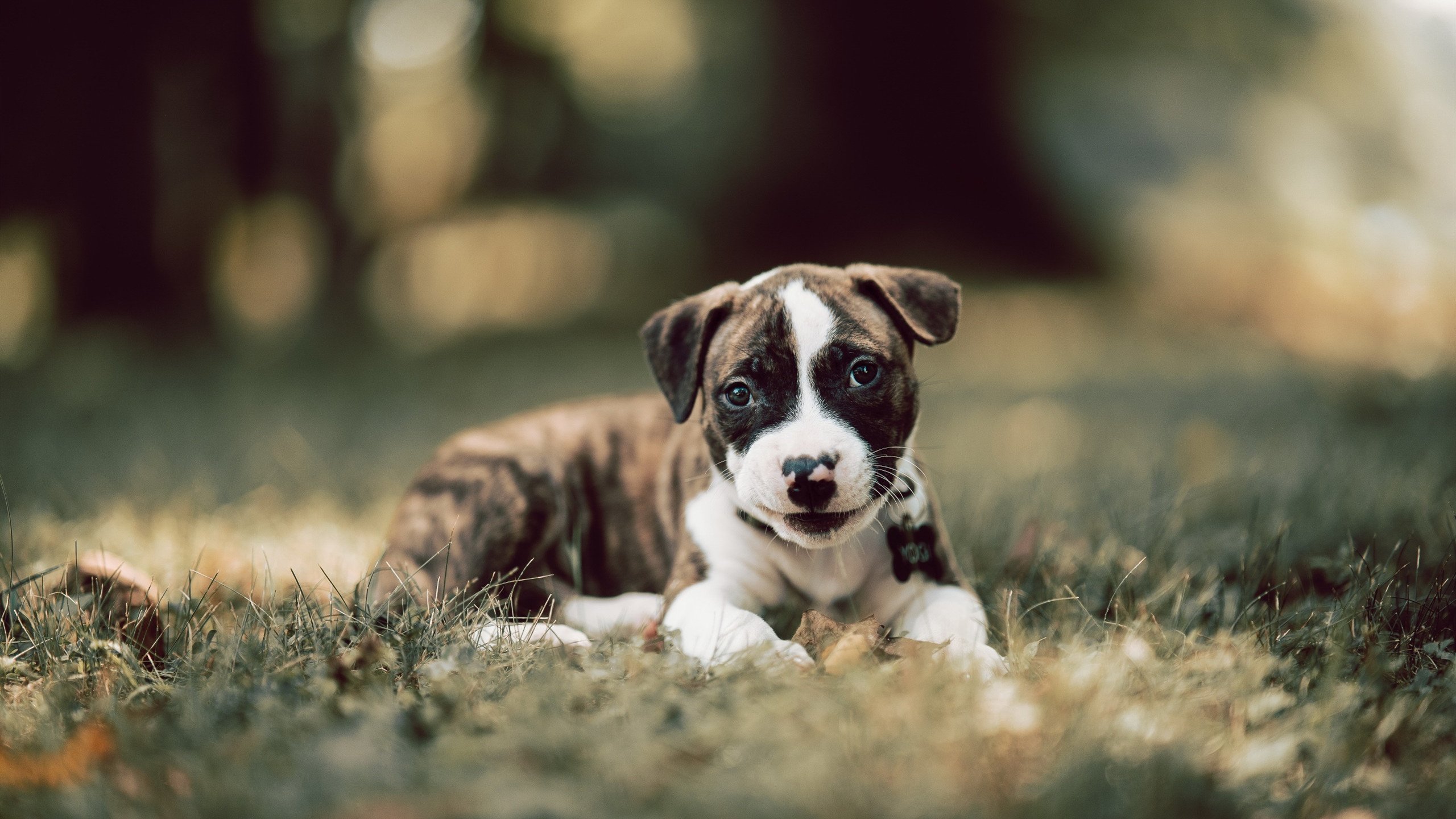 特色篮球文化产品获得市场热捧,助力产业升级,篮球产品的策划方案