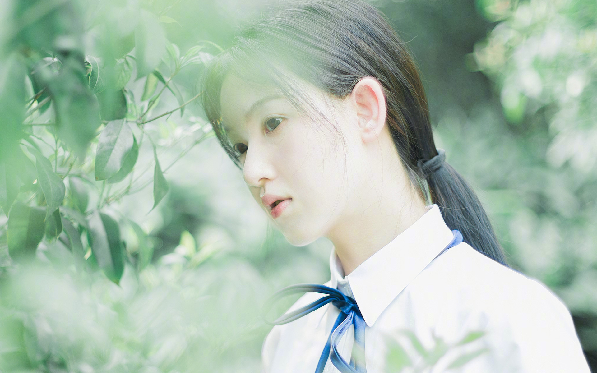 足球赛事图文直播系统体验全面优化，足球比赛图文直播什么意思