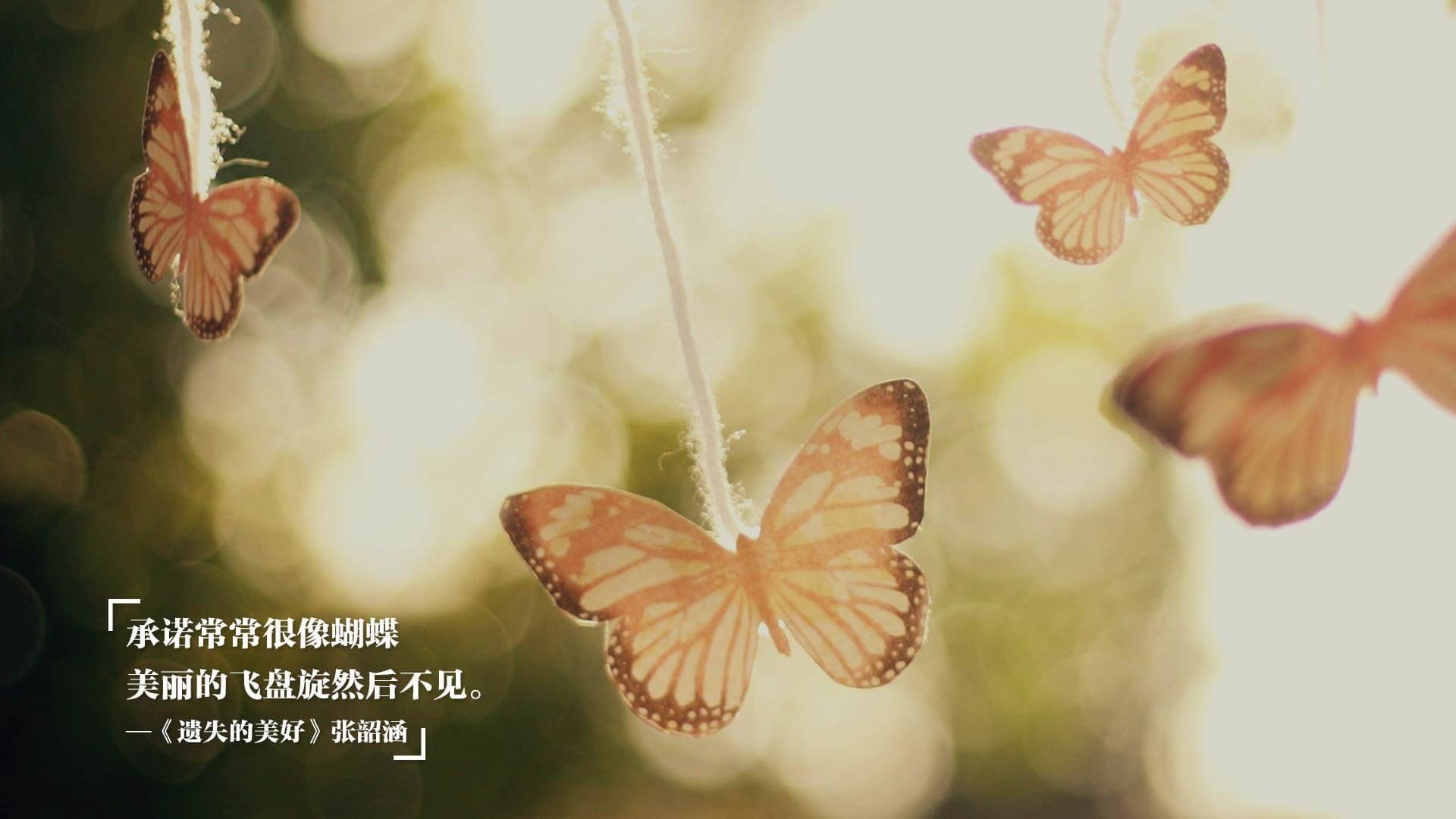 意甲球队宣布将举办球迷互动日活动，意甲 足球