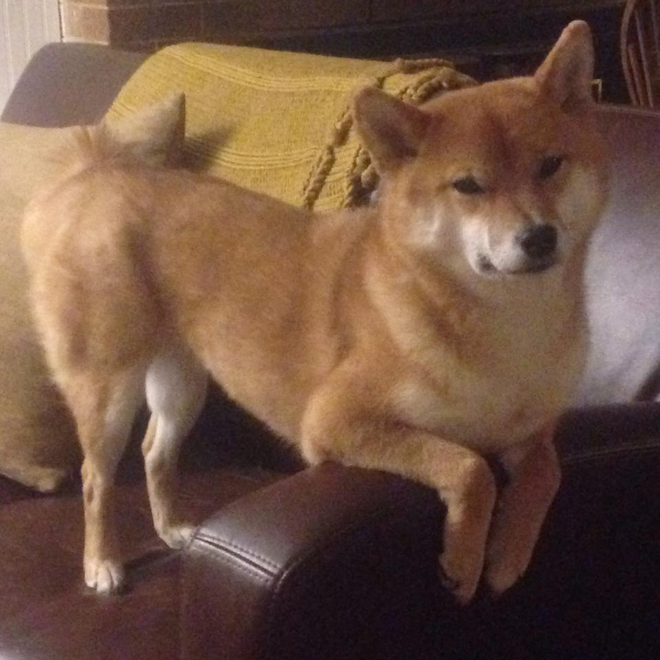 leyu.com-梅西神锋破门，巴黎逆转战胜皇马，梅西首球巴黎