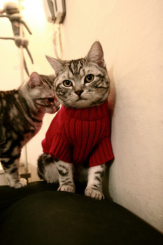 萨拉提瓦入选国家队,多场比赛表现抢眼,萨提瓦饮料