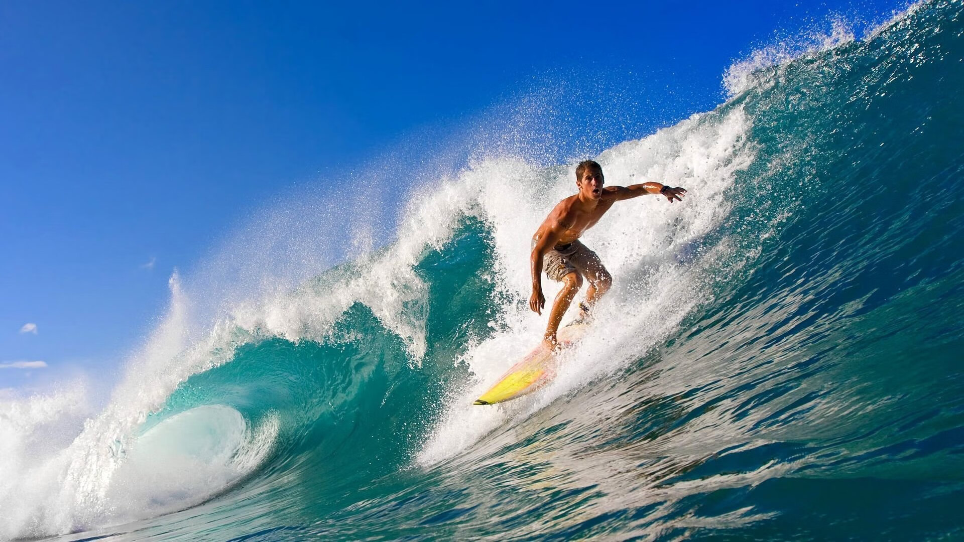 体育信息平台建设与用户交互体验分析,体育信息服务