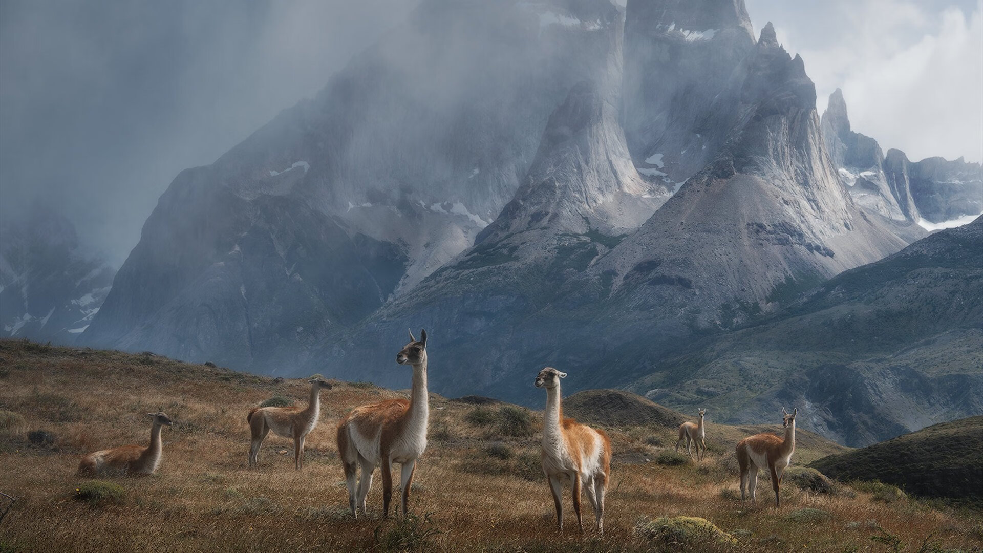 青少年体育社团活动对身心发展的促进作用,体育社团对学生的影响