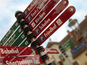 乐鱼app-高校运动队选拔机制公平性研究，高校运动队选拔机制公平性研究报告