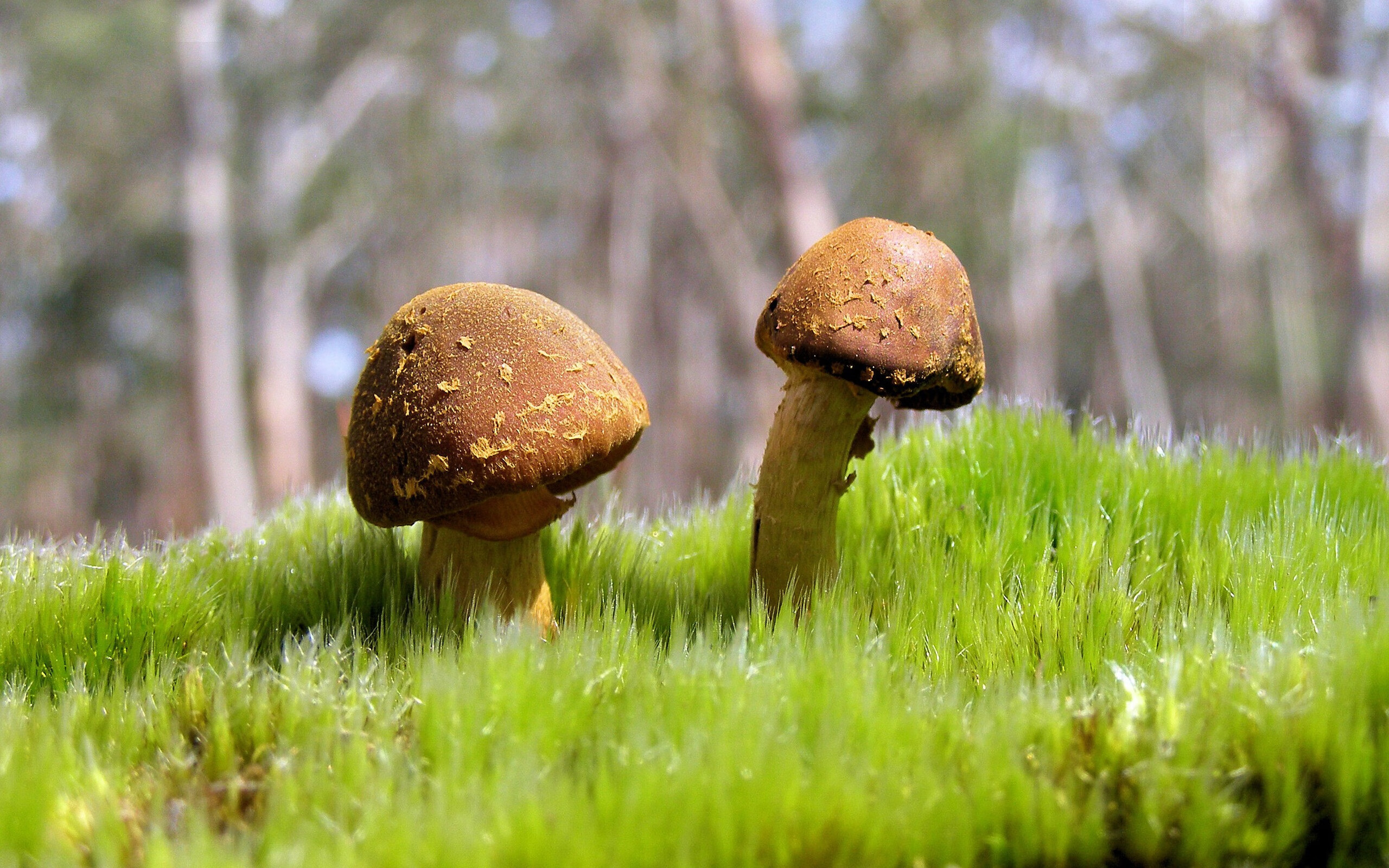 CBA联赛推广青少年篮球普及,青少年篮球选拔赛