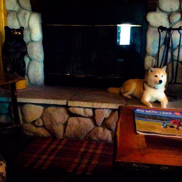 乐鱼体育App下载-全民健身宣传融入社区志愿服务机制，全民健身志愿服务系列活动