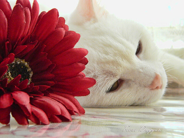 冰雪运动普及率明显提升南方城市表现亮眼,冰雪运动的普及