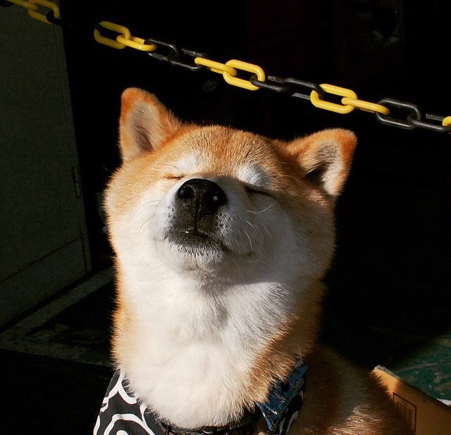 新加坡队赛制研究:如何通过合理赛制布局减少比赛中的失误,新加坡小组赛