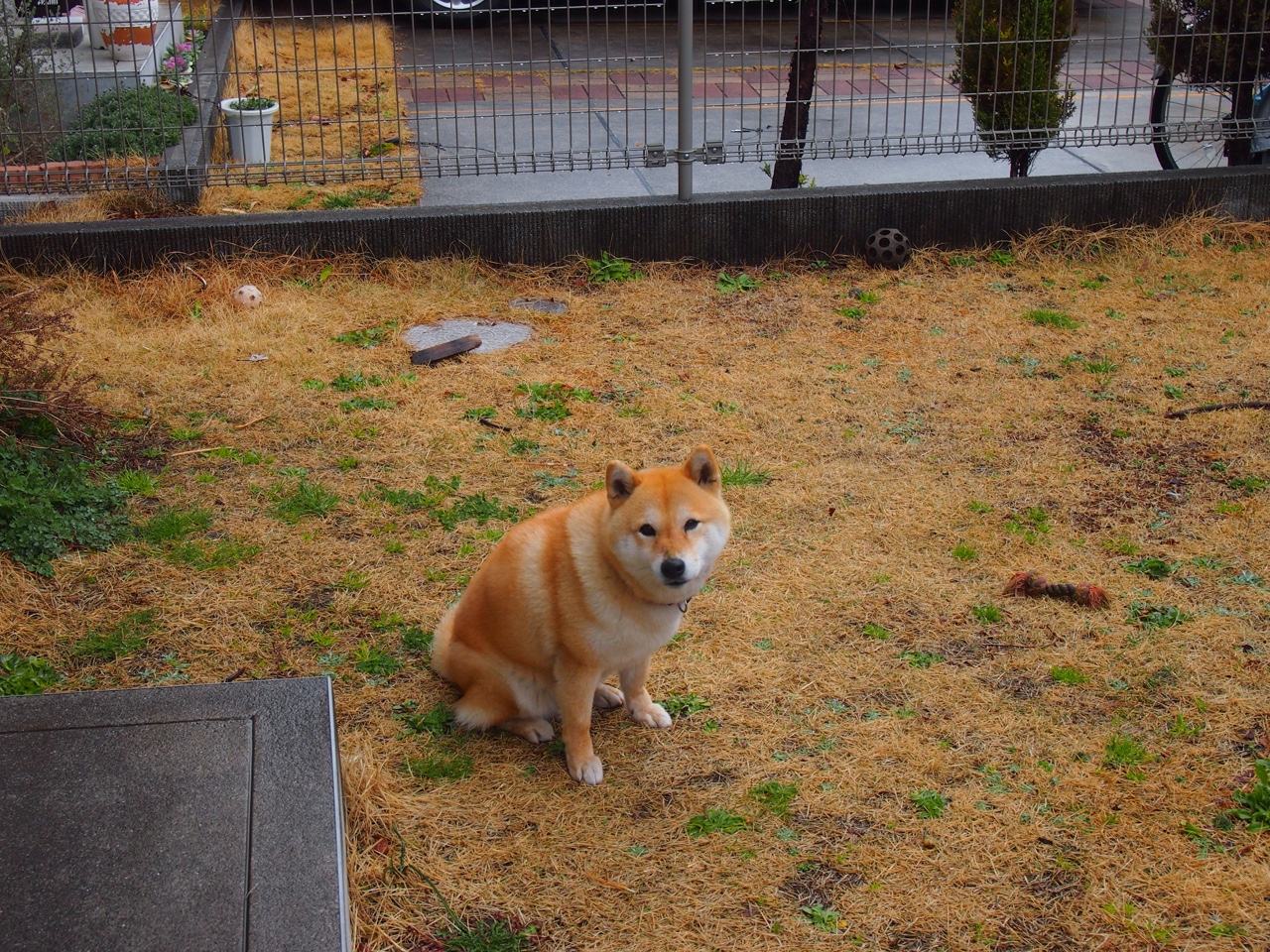 Leyu Sport下载-智能可穿戴设备为乒乓球运动员提供训练数据，乒乓球智能训练系统