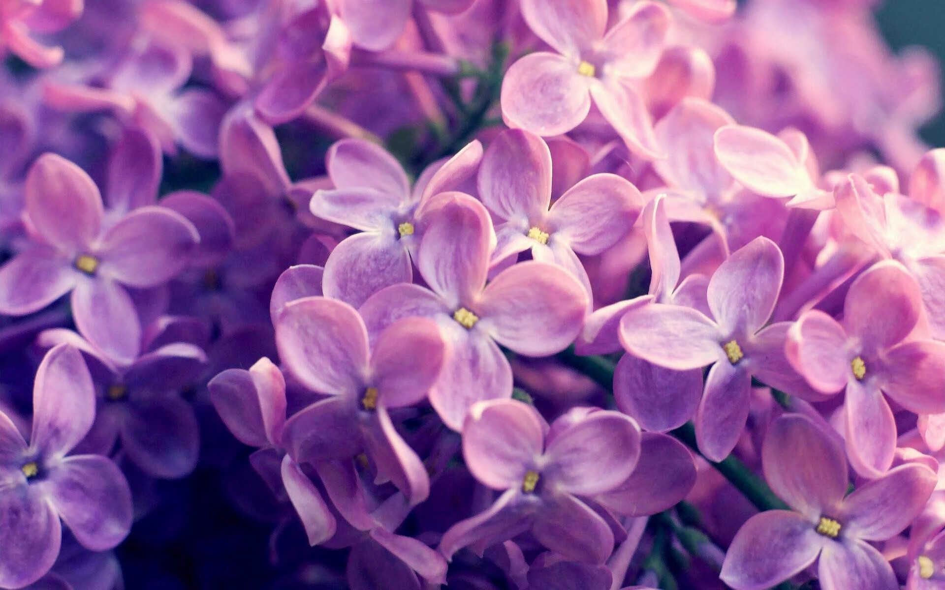 全球青少年足球竞赛火热进行，培养未来国际足球明星，世界青少年足球比赛