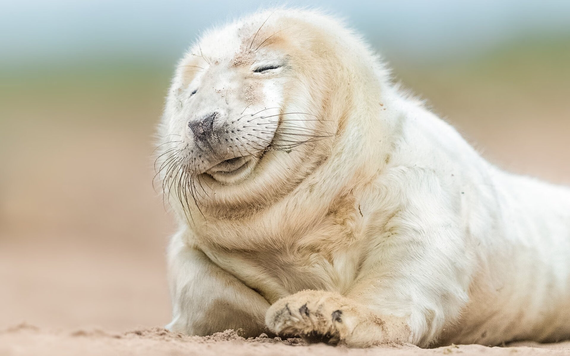 西甲金靴争夺进入白热化,2021西甲金靴是谁