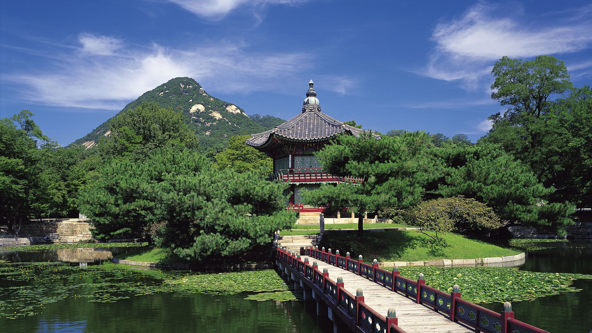 非洲女篮锦标赛中，安哥拉再次夺冠，体育影响力持续扩大，非洲女篮国家队排名