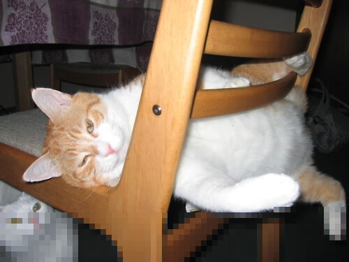 乐鱼体育APP官方下载-骑士控卫通过专项视频学习弥补防守漏洞，骑士控球后卫是谁